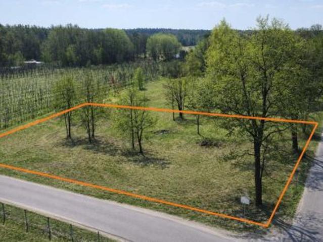 Bezpośrednio, Zbyszków, 2000 m² Działka