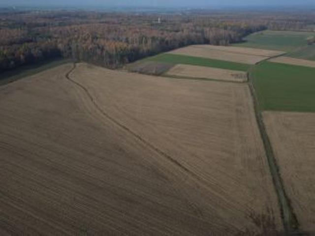 Bezpośrednio, Zbrosławice, ul. Ogrodowa, 3000 m² Działka