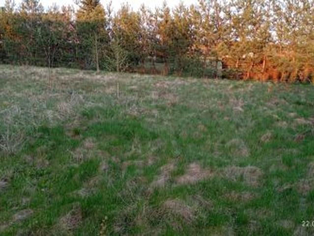 Bezpośrednio, Zduńska Wola, Kolonia Karsznice, ul. Sportowa, 942 m² Działka