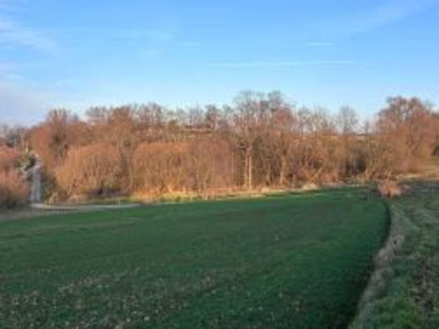 Bezpośrednio, Zdzięsławice, ul. Na Wzgórze, 4500 m² Działka