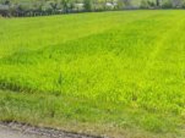 Bezpośrednio, Zdów, ul. Topolowa, 2744 m² Działka