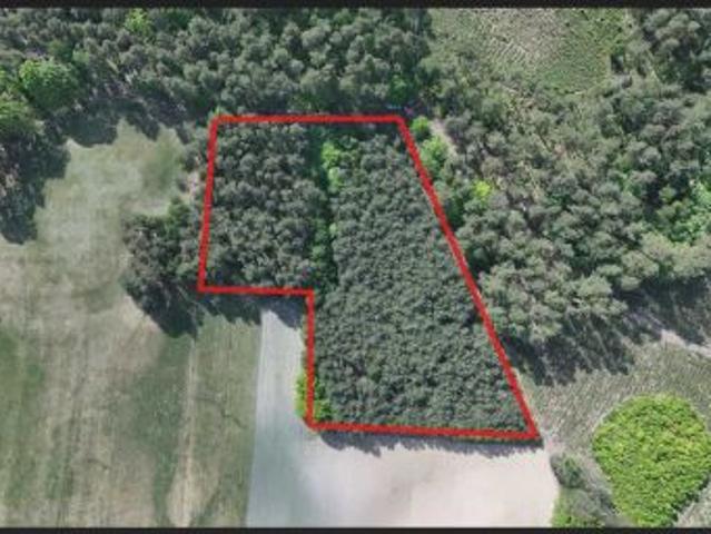 Bezpośrednio, Zdroje, 10192 m² Działka