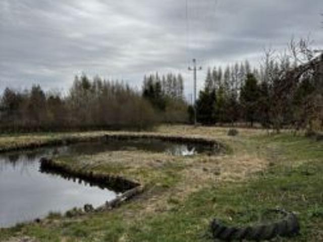 Bezpośrednio, Zdrzewno, 6000 m² Działka