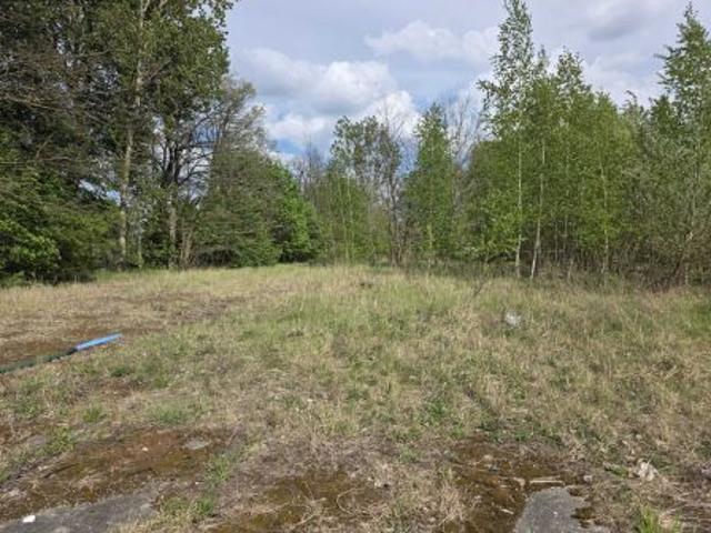 Bezpośrednio, Zelów, ul. Stefana Żeromskiego, 14219 m² Działka