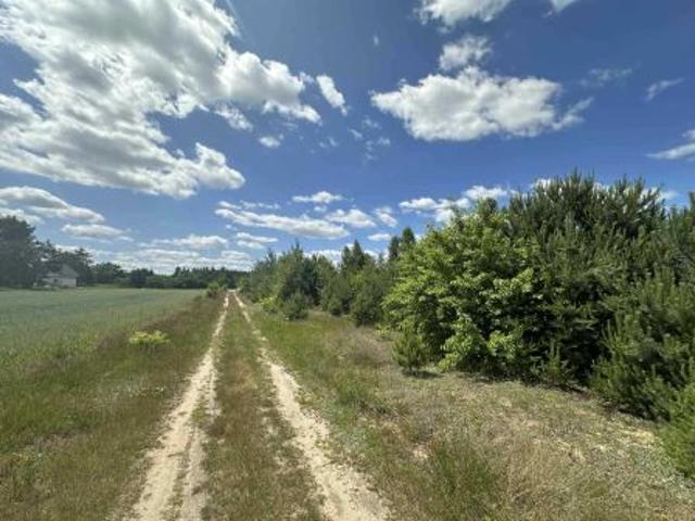 Bezpośrednio, Zenonów, 1500 m² Działka