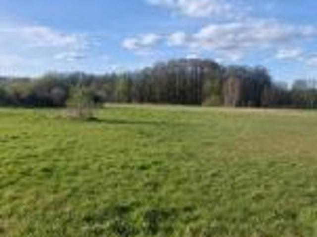 Bezpośrednio, Zgrzebichy, 7700 m² Działka