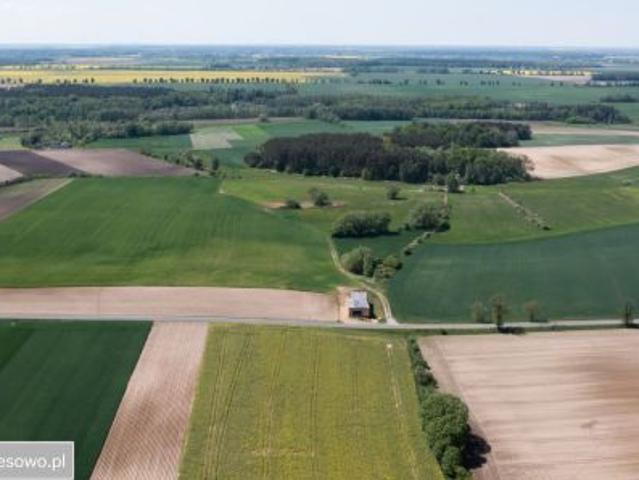 Bezpośrednio, Zielątkowo, 3000 m² Działka