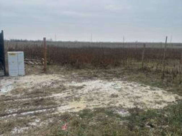 Bezpośrednio, Zielęcice, ul. Długa, 950 m² Działka