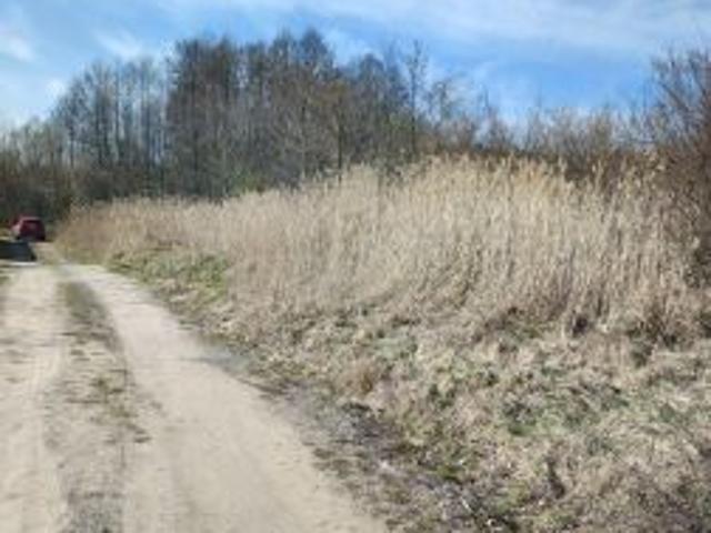 Bezpośrednio, Zielona Góra, Ochla, 866 m² Działka