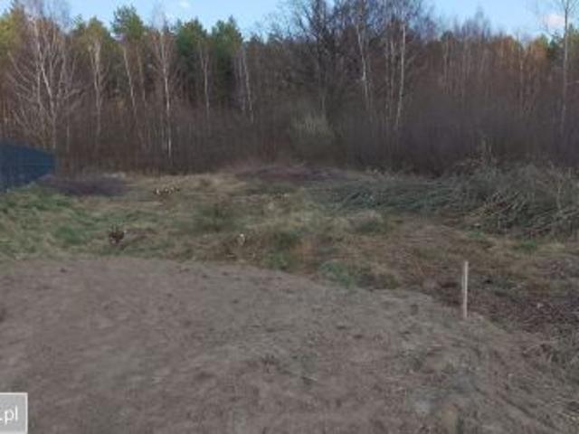 Bezpośrednio, Zielona Góra, Ochla, 948 m² Działka