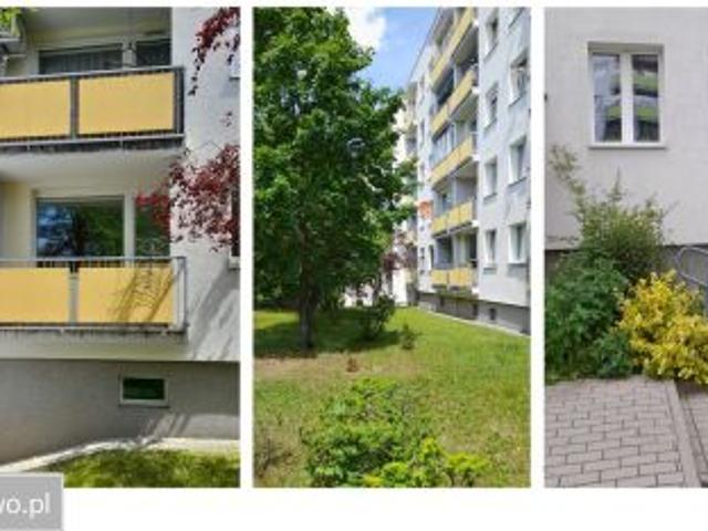 Bezpośrednio, Zielona Góra, Centrum, ul. Stefana Wyszyńskiego, 50 m² Mieszkanie