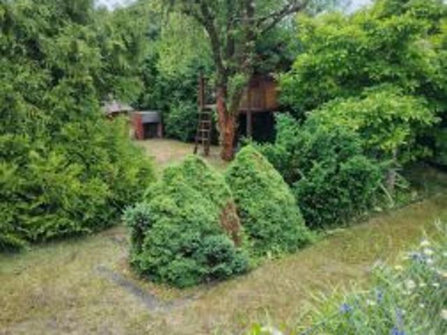 Bezpośrednio, Zielona Góra, Jędrzychów, 35 lecia ROD, 338 m² Działka