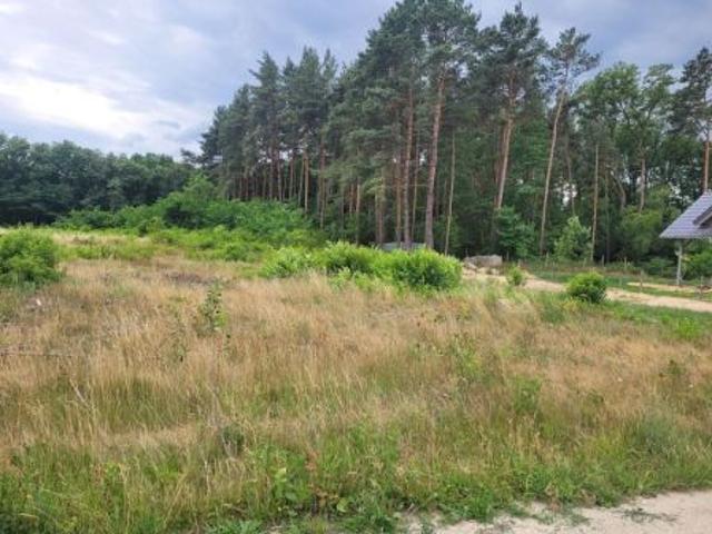 Bezpośrednio, Zielona Góra, Ługowo, 1007 m² Działka
