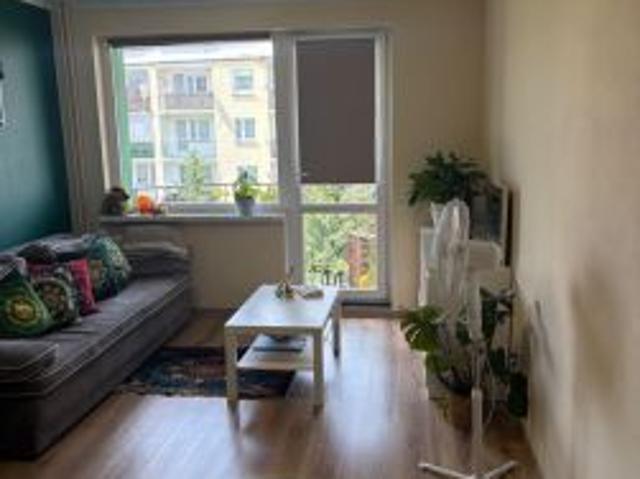 Bezpośrednio, Zielona Góra, ul. Strumykowa, 52 m² Mieszkanie