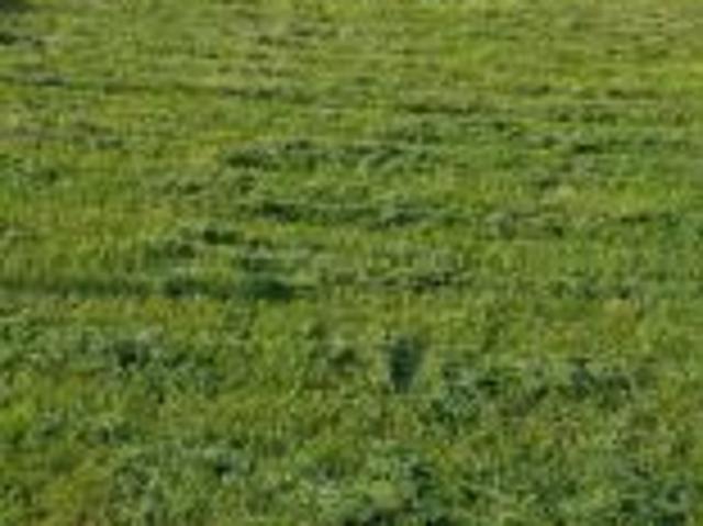 Bezpośrednio, Zielonka, 860 m² Działka