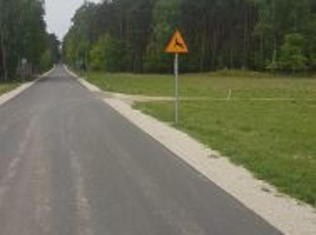 Bezpośrednio, Zielenie, 850 m² Działka