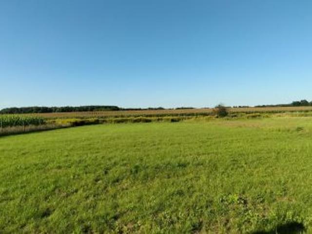 Bezpośrednio, Ziemiełowice, 1039 m² Działka
