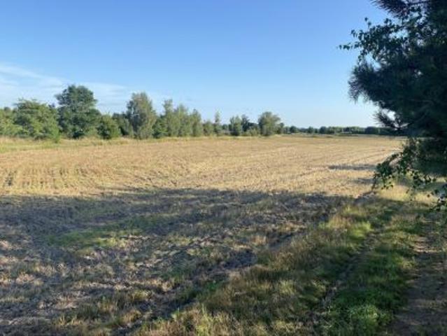 Bezpośrednio, Zimnica, 1000 m² Działka