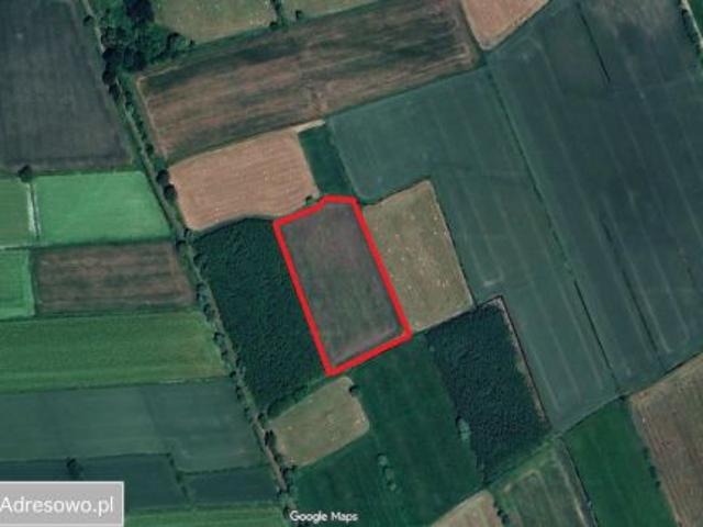 Bezpośrednio, Zwierzno, 14500 m² Działka