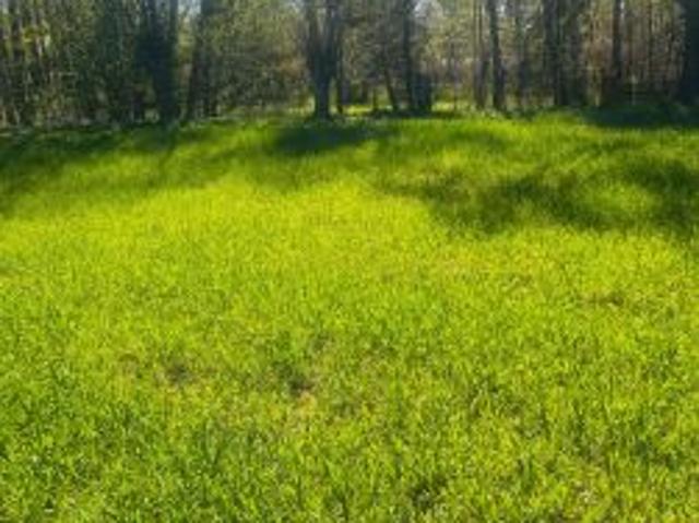 Bezpośrednio, Zwierzyn, 4350 m² Działka