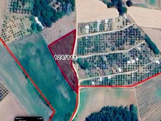 BKE BURSA KILIÇ TAN KESTEL ÜMİTALAN DA SATILIK 3.455m2 BAHÇE