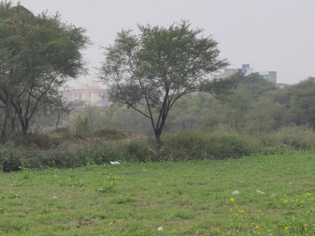 Bhogpur, Panchkula City 1250 Sq.Ft. Plot in Bhogpur Panchkula Listing ID: #10145