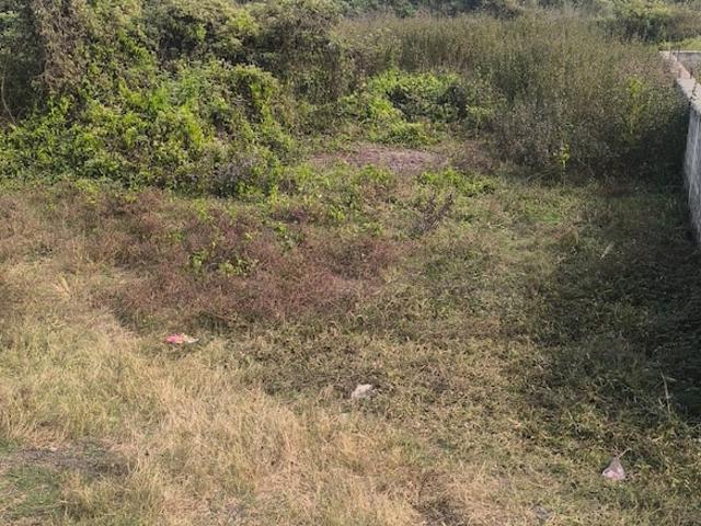 Bhatia 1850 Sq.Ft. Plot in Adityapur Jamshedpur Listing ID: #10323