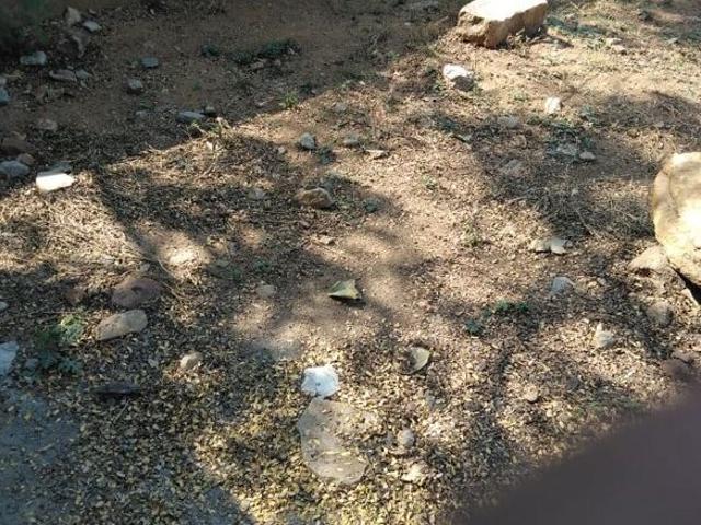 Bhargavi Residency Dammaiguda 760 Sq. Yd. Plot in Dammaiguda Hyderabad Listing ID: #10392