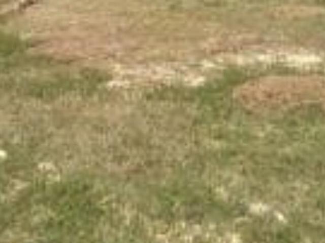 Bhimpor 150 Sq.Yd. Plot in Dumas Surat Listing ID: #8710