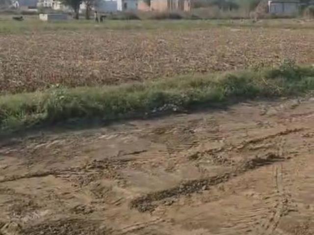 Bhirawati, Nuh City 92 Sq.Yd. Plot in Bhirawati Nuh Listing ID: #10229