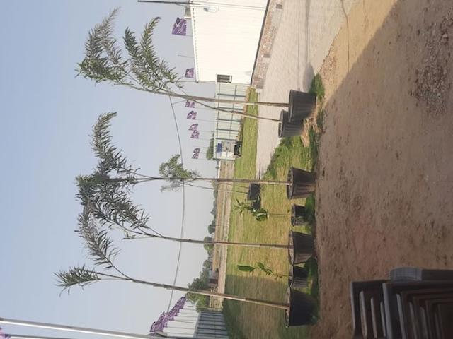 Bhumika Sec 13 Faridabad 200 Sq. Yd. Plot in Dayalpur Faridabad Listing ID: #10297