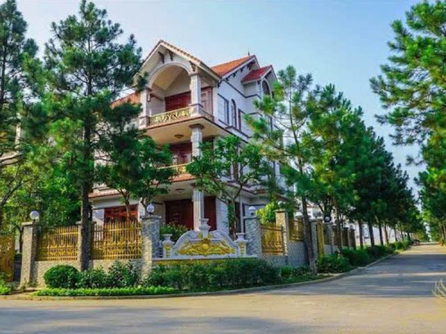 Biệt thự đơn lập 400m2 The Phoenix Garden, Đan Phượng Đón sóng Đại lộ Tây Thăng Long và Vành đai 4