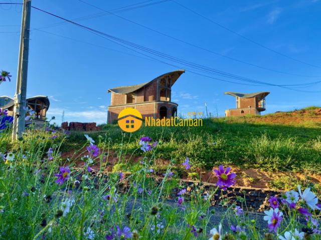 Biệt thự nghỉ dưỡng view hồ bơi săn mây hơn 300m2 thổ cư sổ sẵn nhiều ưu đãi hấp dẫn