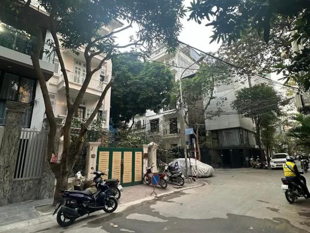 Biệt Thự Cầu Giấy, ô tô tránh, 133m, 4 tầng, mt 7,2m, 41 Tỷ