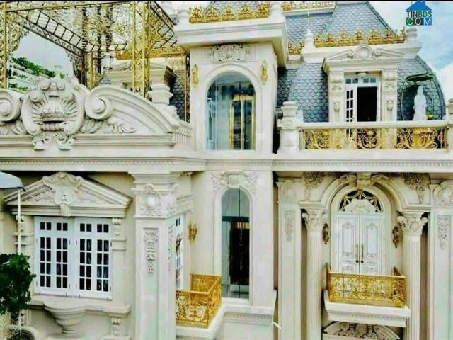 Biệt Thự Dát Vàng – Kiệt Tác Kiến Trúc Châu Âu Ngay Trung Tâm Quận 1 Nguyễn Đình Chiểu