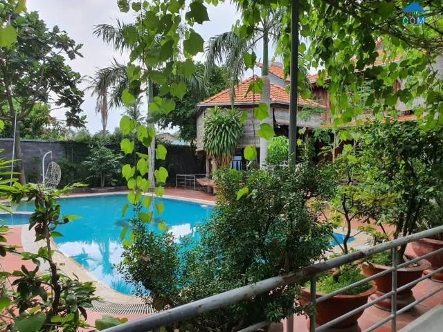 Biệt Thự Gỗ Đỏ Ven Sông – 1000m² – Giá Chỉ Hơn 16 Tỷ!