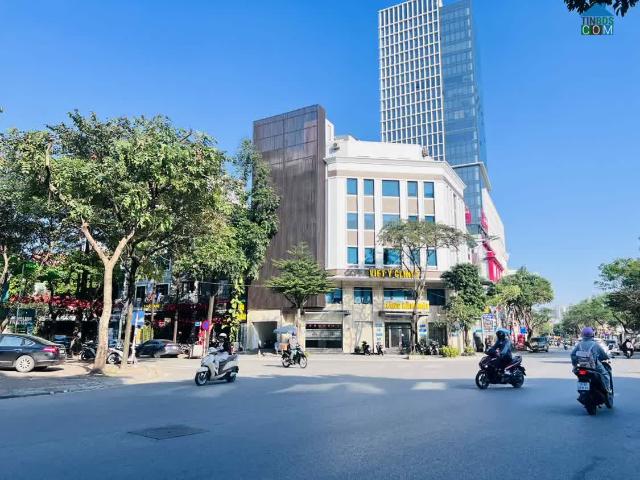 Biệt Thự Lô Góc Hiếm 165M View Bể Bơi Khu Dân Trí Cao Trần Kim Xuyến, Trung Kính Phù Hợp