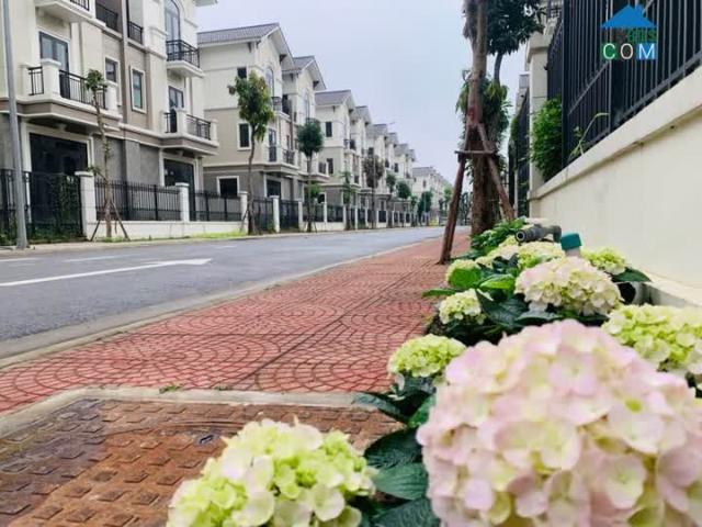 BIỆT THỰ sân vườn 135m2, cách Hà Nội 12km, GIÁ CHỈ 6.8 TỶ