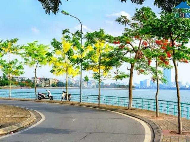 Biệt Thự Siêu Vip, Khu 1.3 Ha Phố Quảng An Tây Hồ. LH 0901766