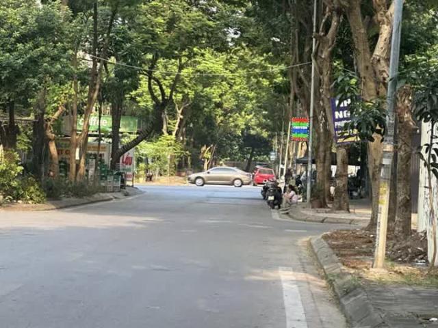 Biệt Thư Vip, Khu Đô Thị Pháp Vân, Quận Hoàng Mai, 276m x 4T, Mt 12m. Giá 36 tỷ