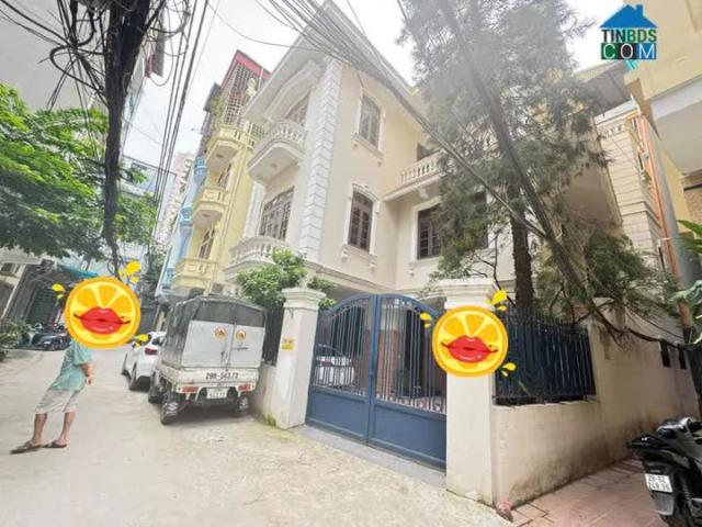 Biệt Thự VIP Phố Thái Hà, Đống Đa, Ô Tô Tránh, Sát Phố, 155m2 3T MT 12m, Chỉ 48 Tỷ ️