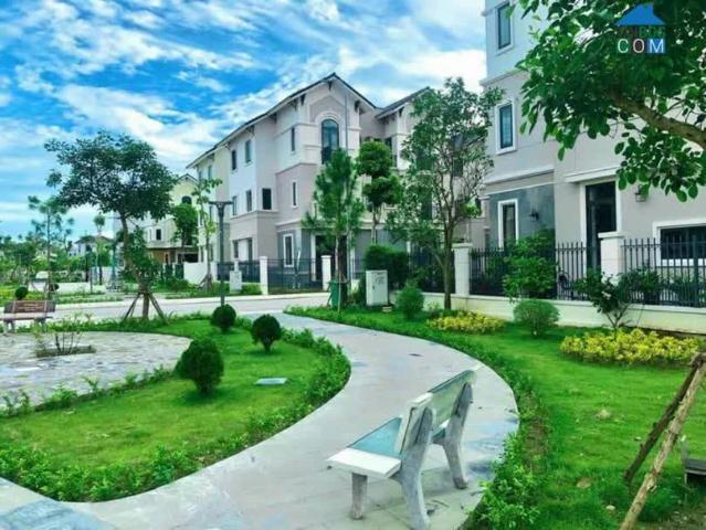 Biệt Thự 135m TP Từ Sơn Giáp Ninh Hiệp giá 7, x tỷ
