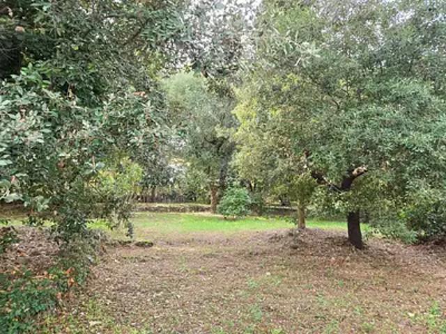 Biot 06410 Achat / Vente terrain