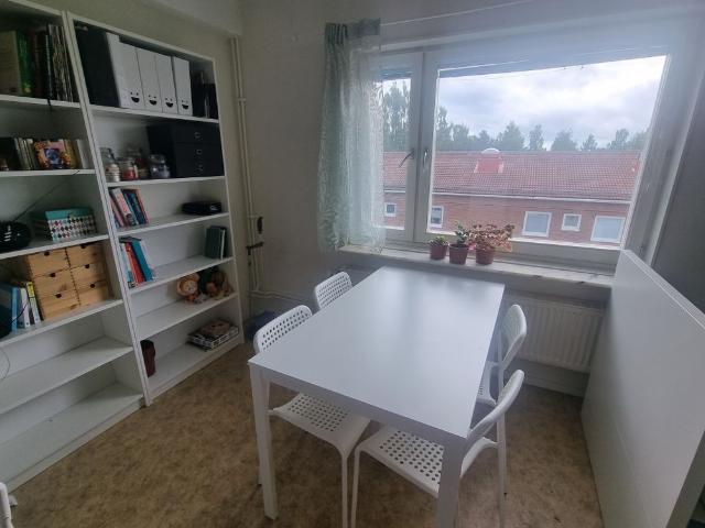 Biologigränd, Umeå