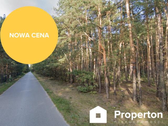 Kompleks 10 działek 32 556 m² blisko natury i rekreacji
