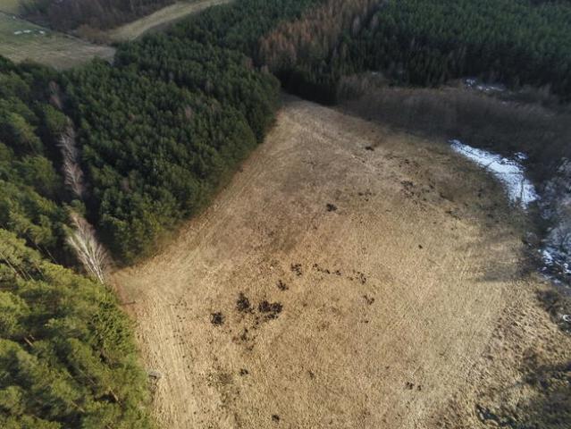 Biała Piska gw, Drygały dzialka