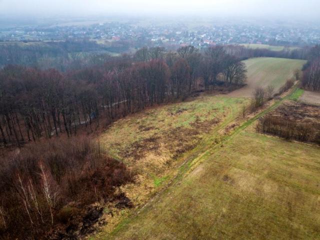 Białogórska 1 326 m², Rzeszów