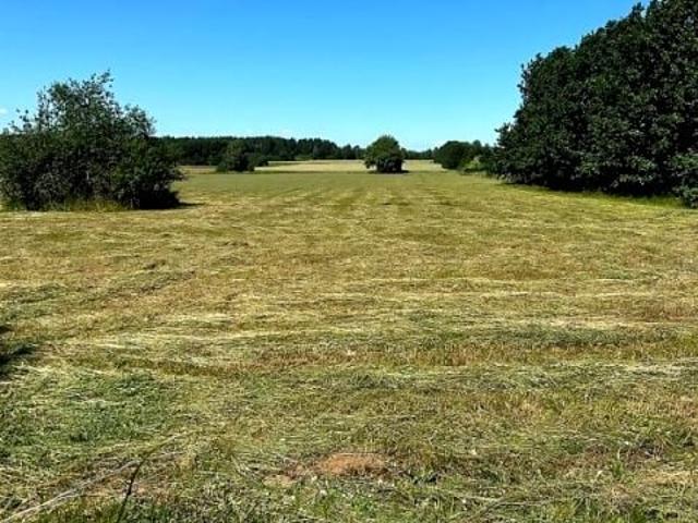 Św. Rocha 1 100 m², Zabłudów