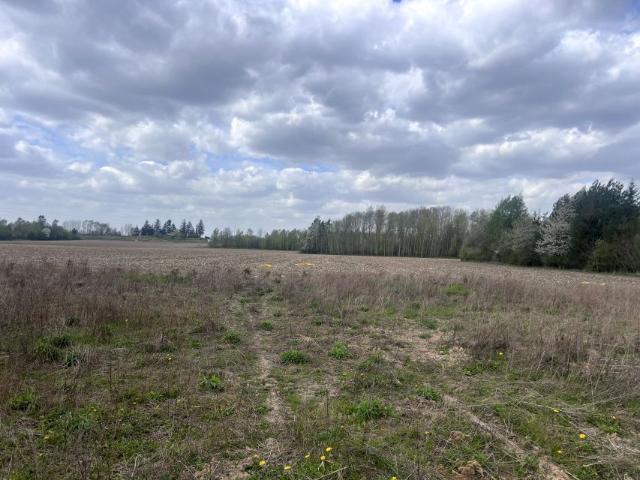 Białostocka 24 678 m², Baciuty