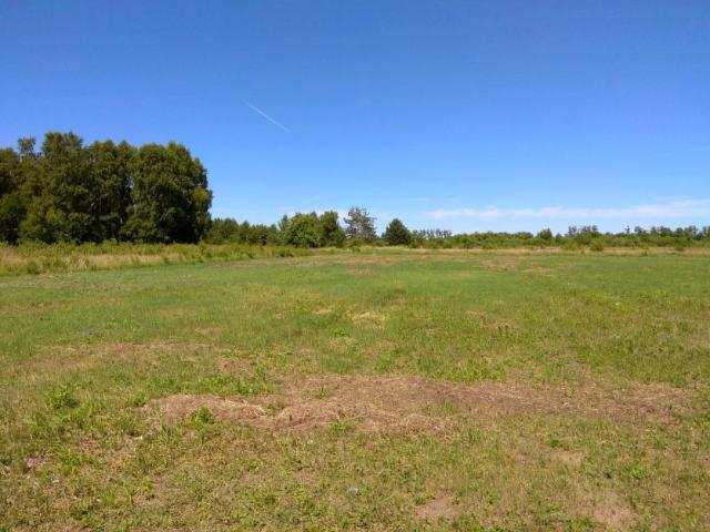 Białuń, ul. Przytulna 1 339 m², Goleniów